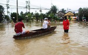 Thủ tướng biểu dương hành động dũng cảm cứu người trong bão dữ Thủ tướng biểu dương hành động dũng cảm cứu người trong bão dữ