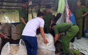 Bắt quả tang vụ dùng hóa chất tẩy trắng 200kg bắp chuối Bắt quả tang vụ dùng hóa chất tẩy trắng 200kg bắp chuối