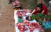 Sau 2 tháng giải cứu, người nuôi lợn vẫn “thở ôxy” Sau 2 tháng giải cứu, người nuôi lợn vẫn “thở ôxy”