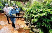 Dịch sốt xuất huyết “báo động đỏ” vì mưa kéo dài Dịch sốt xuất huyết “báo động đỏ” vì mưa kéo dài