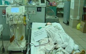 Những điều “nằm lòng” để tránh ngộ độc nấm mùa xuân Những điều “nằm lòng” để tránh ngộ độc nấm mùa xuân