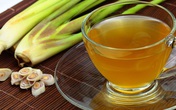 Cách chống muỗi đơn giản để hạn chế sốt xuất huyết Cách chống muỗi đơn giản để hạn chế sốt xuất huyết