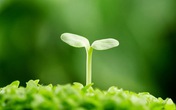 Thẩm mỹ cho tâm hồn Thẩm mỹ cho tâm hồn