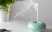 Điều cần biết khi dùng đèn xông, máy khuếch tán tinh dầu Điều cần biết khi dùng đèn xông, máy khuếch tán tinh dầu