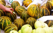 Dưa lê, dưa bở ngon bổ rẻ nhưng sợ ngâm thuốc: Đã có chuyên gia bày cách chọn dưa an toàn Dưa lê, dưa bở ngon bổ rẻ nhưng sợ ngâm thuốc: Đã có chuyên gia bày cách chọn dưa an toàn
