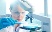Nghiên cứu lâm sàng hiệu quả của sữa chua uống Vinamilk Probi với việc hạn chế cảm cúm Nghiên cứu lâm sàng hiệu quả của sữa chua uống Vinamilk Probi với việc hạn chế cảm cúm