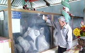 Huyền tích bí ẩn Cá Thần linh thiêng cứu người ở Bến Tre Huyền tích bí ẩn Cá Thần linh thiêng cứu người ở Bến Tre