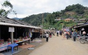 8 người tử vong sau khi ăn cỗ đám ma: Bí ẩn can rượu 30 lít 8 người tử vong sau khi ăn cỗ đám ma: Bí ẩn can rượu 30 lít