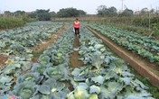Khóc vì mùa đông không lạnh Khóc vì mùa đông không lạnh