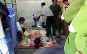 Khánh Hòa: Nghi án mẹ cho con 2 tuổi uống thuốc diệt cỏ rồi cùng tự vẫn Khánh Hòa: Nghi án mẹ cho con 2 tuổi uống thuốc diệt cỏ rồi cùng tự vẫn
