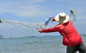 Chỉ ném đá lùa cá vào bờ cũng kiếm tiền triệu mỗi ngày Chỉ ném đá lùa cá vào bờ cũng kiếm tiền triệu mỗi ngày