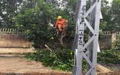 Tổng công ty Điện lực miền Bắc sẵn sàng ứng phó với bão số 2 Tổng công ty Điện lực miền Bắc sẵn sàng ứng phó với bão số 2
