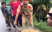 Hình ảnh đẹp của CSGT Quảng Ninh giúp tài xế thu dọn ngô rơi trên đường