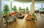 Chọn và bố trí loại cây phù hợp với từng căn phòng để sức khỏe tốt nhất, nhà đẹp nhất Chọn và bố trí loại cây phù hợp với từng căn phòng để sức khỏe tốt nhất, nhà đẹp nhất