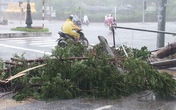 Đà Nẵng phát thông báo không khí lạnh tràn về Đà Nẵng phát thông báo không khí lạnh tràn về