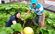 Thiên đường rau quả trên nóc nhà của anh đầu bếp Việt ở Đức Thiên đường rau quả trên nóc nhà của anh đầu bếp Việt ở Đức