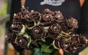 Hoa hồng phủ chocolate Hà Lan, giá "chát" vẫn "cháy hàng" ngày 8/3