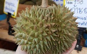 Xuất hiện loại sầu riêng "đắt cắt cổ" vẫn không có để mua Xuất hiện loại sầu riêng "đắt cắt cổ" vẫn không có để mua