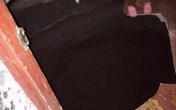 Hố tử thần nuốt vợ, đào sâu 15m vẫn không thấy Hố tử thần nuốt vợ, đào sâu 15m vẫn không thấy