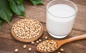 Những lưu ý khi uống sữa đậu nành: Không biết trước có thể gây hại cho sức khoẻ Những lưu ý khi uống sữa đậu nành: Không biết trước có thể gây hại cho sức khoẻ
