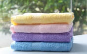 Mollis - bước đột phá trong thị trường khăn bông Mollis - bước đột phá trong thị trường khăn bông