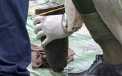 6 người trong dòng họ ở Khánh Hòa tử vong vì cưa đạn 6 người trong dòng họ ở Khánh Hòa tử vong vì cưa đạn