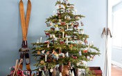 17 cách trang trí cây thông Noel dễ thực hiện dành riêng cho nhà nhỏ 17 cách trang trí cây thông Noel dễ thực hiện dành riêng cho nhà nhỏ