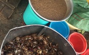 Cẩn trọng với món cua đồng xay sẵn Cẩn trọng với món cua đồng xay sẵn