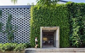 Đã mắt với văn phòng xanh mướt ở Sài Gòn mà ai cũng muốn vào làm Đã mắt với văn phòng xanh mướt ở Sài Gòn mà ai cũng muốn vào làm
