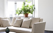 Nếu bạn hay bị căng thẳng hãy trang trí nhà theo cách này để luôn được thư thái Nếu bạn hay bị căng thẳng hãy trang trí nhà theo cách này để luôn được thư thái