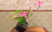 Bày cách căm bình hoa đẹp cho mùa sen tháng 5 Bày cách căm bình hoa đẹp cho mùa sen tháng 5