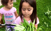 Bà mẹ Việt kiều Canada trồng cả 'rừng' rau, quả ở nơi có thời tiết khắc nghiệt Bà mẹ Việt kiều Canada trồng cả 'rừng' rau, quả ở nơi có thời tiết khắc nghiệt