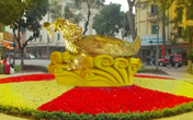 Rùa vàng dễ lạc lõng giữa hồ Gươm Rùa vàng dễ lạc lõng giữa hồ Gươm