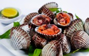 Sò huyết rất tốt, nhưng khi ăn nhất định phải biết điều này Sò huyết rất tốt, nhưng khi ăn nhất định phải biết điều này