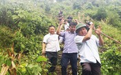 Trước khi bị bắt, ông Đinh La Thăng đã "ghi điểm" với công chúng như thế nào? Trước khi bị bắt, ông Đinh La Thăng đã "ghi điểm" với công chúng như thế nào?