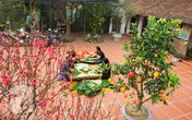 Ăn Tết quê chồng (5): Con cái không về, có còn chữ Hiếu? Ăn Tết quê chồng (5): Con cái không về, có còn chữ Hiếu?