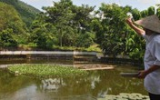 Cụ ông U80 trồng cây, nuôi cá thảnh thơi, vừa chơi vừa có tiền Cụ ông U80 trồng cây, nuôi cá thảnh thơi, vừa chơi vừa có tiền
