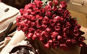 Chưa tới lễ 20/10, hoa hồng đã tăng vài giá Chưa tới lễ 20/10, hoa hồng đã tăng vài giá