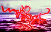 Giang mai - căn bệnh tàn phá hết sức kinh khủng bạn có thể gặp nếu sex không an toàn Giang mai - căn bệnh tàn phá hết sức kinh khủng bạn có thể gặp nếu sex không an toàn