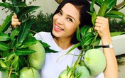 "Người đẹp Tây Đô" Việt Trinh và ngôi nhà an yên bên khu vườn ngập tràn rau trái "Người đẹp Tây Đô" Việt Trinh và ngôi nhà an yên bên khu vườn ngập tràn rau trái