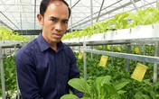Kỹ sư bỏ việc nhà nước về trồng rau thủy canh, lãi 60 triệu/tháng Kỹ sư bỏ việc nhà nước về trồng rau thủy canh, lãi 60 triệu/tháng