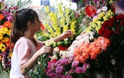 Diễn biến lạ trên thị trường hoa tươi dịp 20/11 Diễn biến lạ trên thị trường hoa tươi dịp 20/11