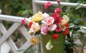 Người đàn ông Hà Thành trút bỏ những muộn phiền bằng cách cắm những bình hoa đẹp tự nhiên như một phần cuộc sống Người đàn ông Hà Thành trút bỏ những muộn phiền bằng cách cắm những bình hoa đẹp tự nhiên như một phần cuộc sống