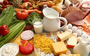 Chuyên gia cảnh báo 19% ca ung thư dạ dày, ruột từ thói quen lười ăn thực phẩm này Chuyên gia cảnh báo 19% ca ung thư dạ dày, ruột từ thói quen lười ăn thực phẩm này