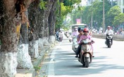 Dự báo thời tiết 3/11: Miền Bắc hanh khô, ngày nắng đêm lạnh Dự báo thời tiết 3/11: Miền Bắc hanh khô, ngày nắng đêm lạnh