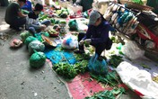 Dễ rước họa vì ăn rau sống không rõ nguồn gốc Dễ rước họa vì ăn rau sống không rõ nguồn gốc