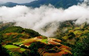 Thâm cung bí sử (160 - 1): Tuần trăng mật nhiều bất ngờ Thâm cung bí sử (160 - 1): Tuần trăng mật nhiều bất ngờ