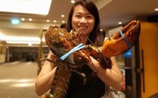 Cua hoàng đế, tôm hùm ngoại đắt hàng vì giá "siêu mềm" so với hàng nội Cua hoàng đế, tôm hùm ngoại đắt hàng vì giá "siêu mềm" so với hàng nội