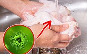 Tại sao không nên rửa thịt gà trước khi nấu? Tại sao không nên rửa thịt gà trước khi nấu?