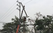 Vướng vào dây điện rớt giữa đường, một phụ nữ thiệt mạng Vướng vào dây điện rớt giữa đường, một phụ nữ thiệt mạng